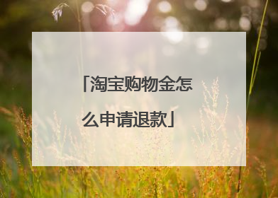 淘宝购物金怎么申请退款