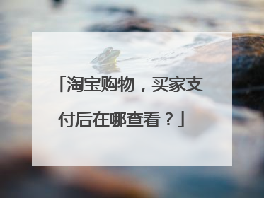 淘宝购物,买家支付后在哪查看?
