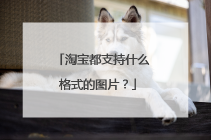 淘宝都支持什么格式的图片?