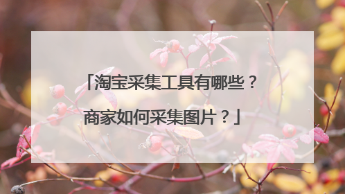 淘宝采集工具有哪些?商家如何采集图片?
