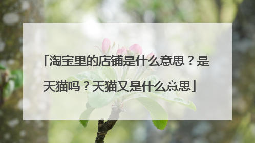 淘宝里的店铺是什么意思?是天猫吗?天猫又是什么意思
