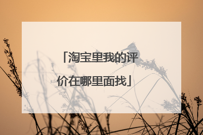 淘宝里我的评价在哪里面找