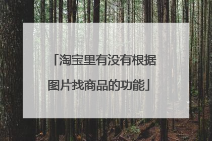 淘宝里有没有根据图片找商品的功能