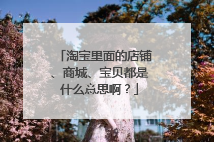 淘宝里面的店铺、商城、宝贝都是什么意思啊?