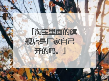 淘宝里面的旗舰店是厂家自己开的吗。