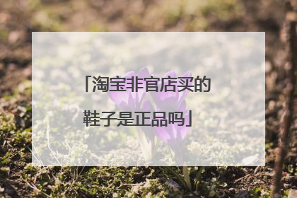 淘宝非官店买的鞋子是正品吗
