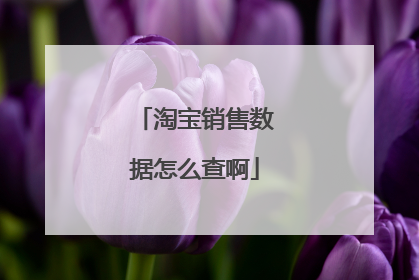 淘宝销售数据怎么查啊
