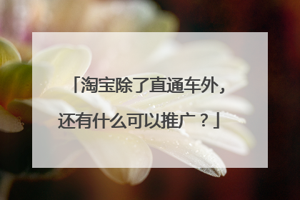 淘宝除了直通车外,还有什么可以推广？