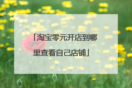 淘宝零元开店到哪里查看自己店铺
