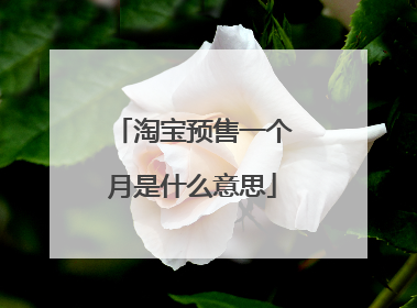 淘宝预售一个月是什么意思