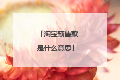 淘宝预售款是什么意思