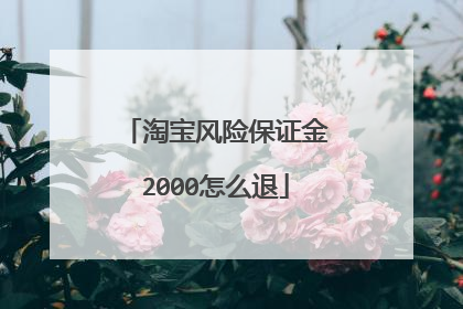 淘宝风险保证金2000怎么退