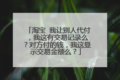 淘宝 我让别人代付 ,我这有交易记录么?对方付的钱,我这显示交易金额么?