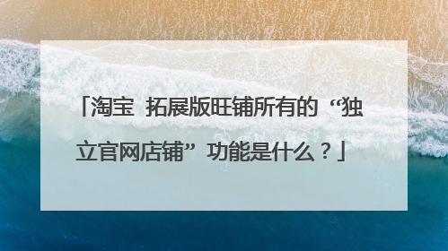 淘宝 拓展版旺铺所有的 “独立官网店铺” 功能是什么?