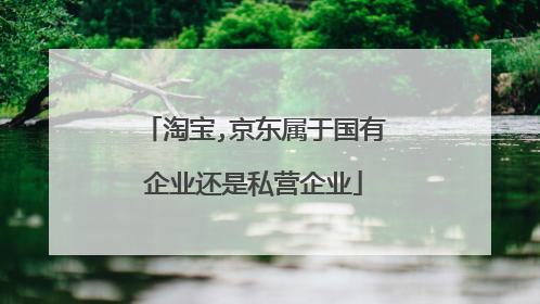 淘宝,京东属于国有企业还是私营企业