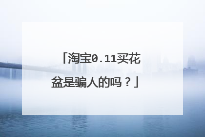 淘宝0.11买花盆是骗人的吗?