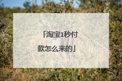 淘宝1秒付款怎么来的
