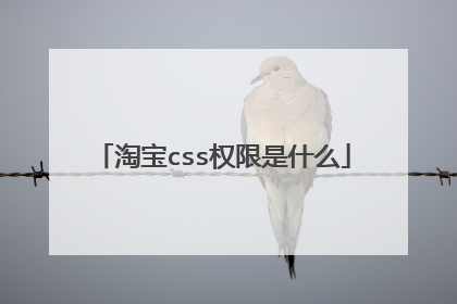 淘宝css权限是什么