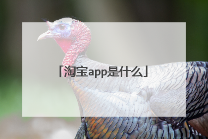 淘宝app是什么