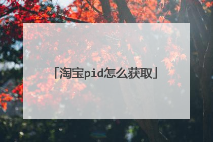 淘宝pid怎么获取