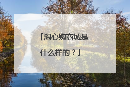 淘心购商城是什么样的?