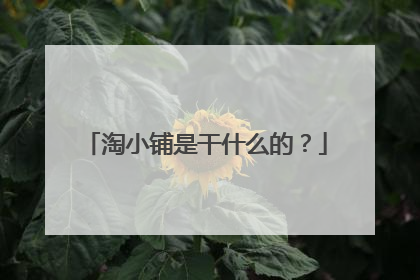 淘小铺是干什么的?