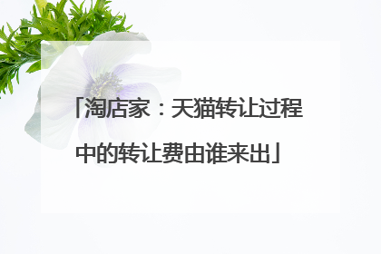 淘店家:天猫转让过程中的转让费由谁来出