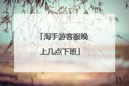 淘手游客服晚上几点下班