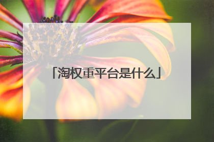 淘权重平台是什么