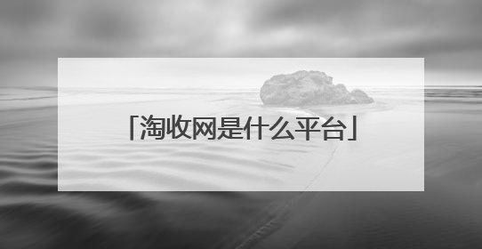 淘收网是什么平台