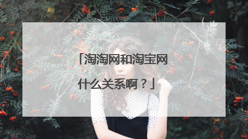 淘淘网和淘宝网什么关系啊？