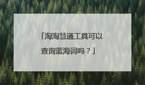 淘淘慧通工具可以查询蓝海词吗?