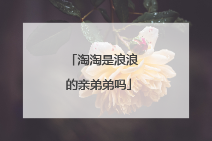 淘淘是浪浪的亲弟弟吗