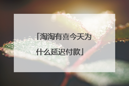 淘淘有喜今天为什么延迟付款