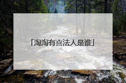 淘淘有喜法人是谁