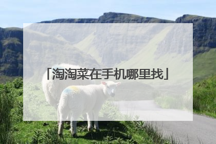 淘淘菜在手机哪里找
