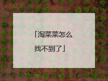 淘菜菜怎么找不到了