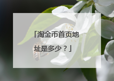 淘金币首页地址是多少?
