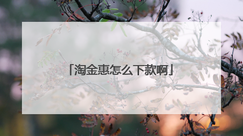 淘金惠怎么下款啊