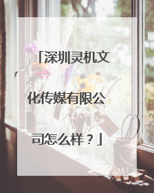 深圳灵机文化传媒有限公司怎么样?