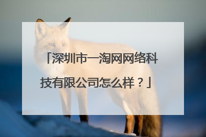 深圳市一淘网网络科技有限公司怎么样?