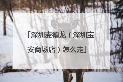 深圳麦德龙(深圳宝安商场店)怎么走