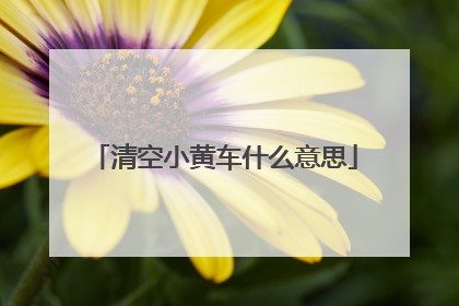清空小黄车什么意思