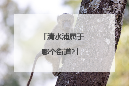 清水浦属于哪个街道?