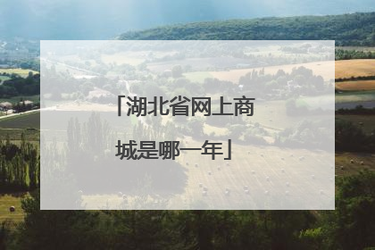 湖北省网上商城是哪一年