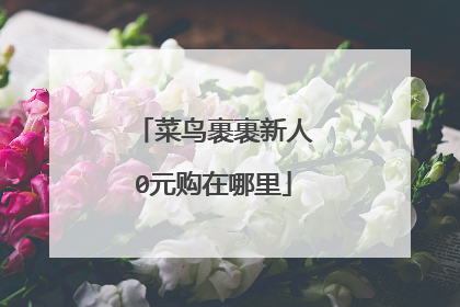 菜鸟裹裹新人0元购在哪里