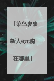 菜鸟裹裹新人0元购在哪里