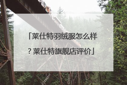 莱仕特羽绒服怎么样?莱仕特旗舰店评价