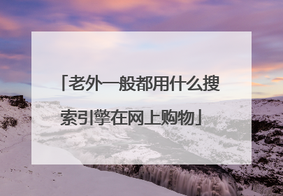 老外一般都用什么搜索引擎在网上购物