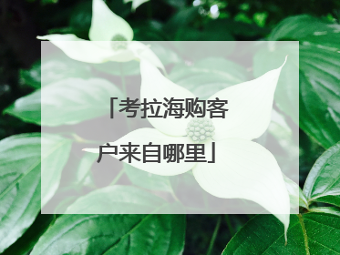 考拉海购客户来自哪里